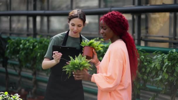 Floristin Mit Tablette Hilft Kundin Bei Pflanzenauswahl Blumenladen — Stockvideo