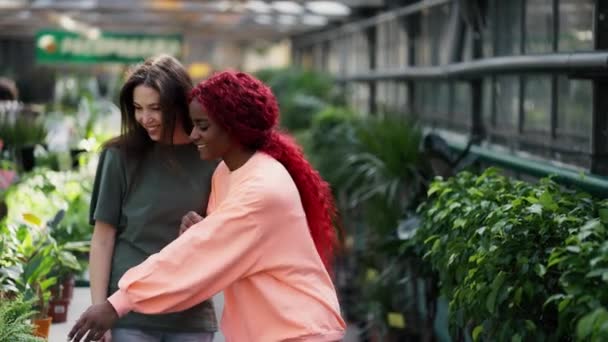 Två Kvinnor Promenader Längs Rader Växter Växtaffär Hittade Perfekt Blomma — Stockvideo