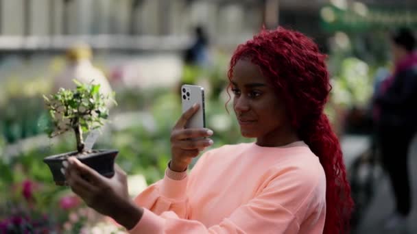 Afroamerikanerin Hält Zimmerpflanzen Gewächshausgarten Und Fotografiert Ihn — Stockvideo