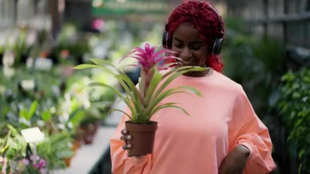 Афроамериканська Молода Дівчина Навушниках Танцює Квітковим Горщиком Теплиці — стокове відео