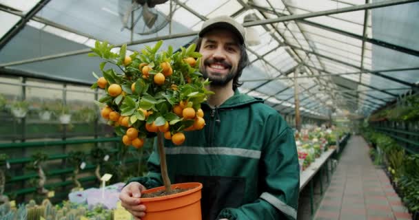 Happy Horticulturist Pokazywanie Skarbów Botanicznych Zakładzie — Wideo stockowe