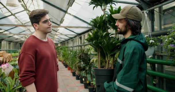 年轻园艺师的专家建议 选择和呵护理想的植物 — 图库视频影像