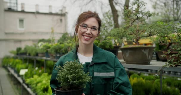 Verde Crecimiento Florista Joven Posando Con Maceta Vivero — Vídeos de Stock