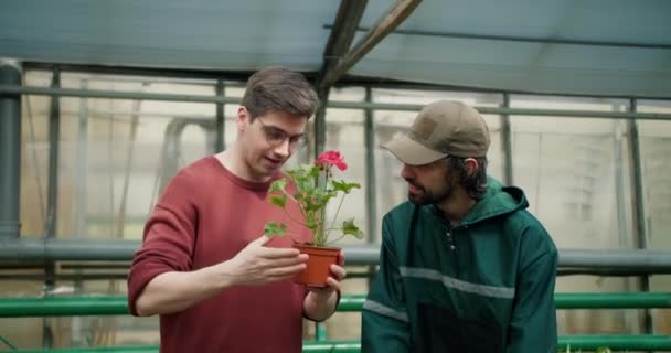 Blomsterhandel Med Experten Resa Urval Och Tillfredsställelse — Stockvideo
