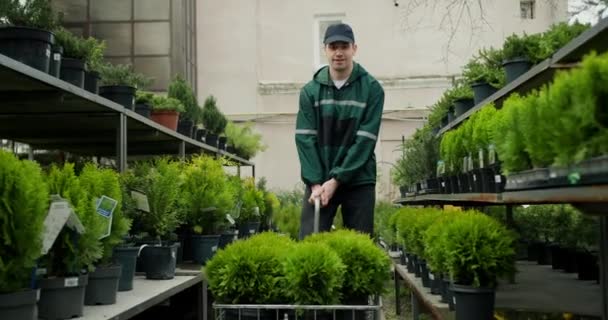 Frische Anlieferung Neue Pflanzen Gartencenter Auspacken — Stockvideo