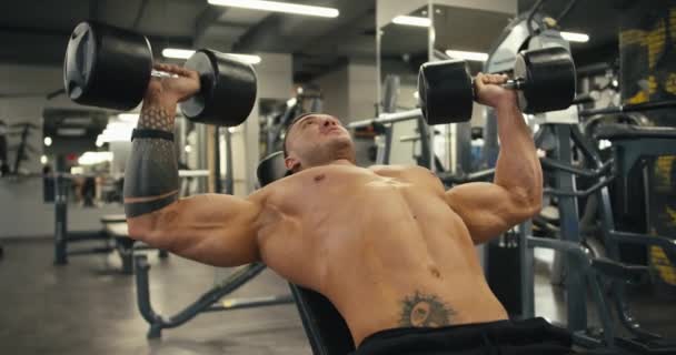 Muskelkräftiger Bodybuilder Der Schwere Schwarze Hanteln Stemmt Turnhallenkonzept Gesunder Lebensstil — Stockvideo