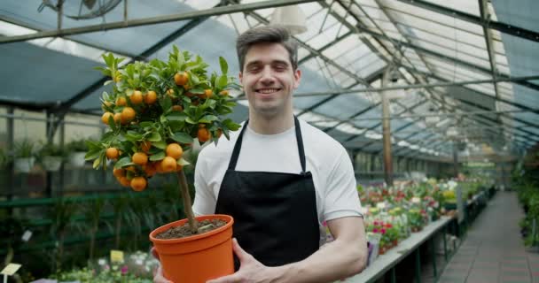 専門の花屋の若い男労働者は 彼の手にオレンジの小さな木の鍋を保持しています 緑の生活 園芸の専門家とあなたの屋内オレンジの木のケアのヒント — ストック動画