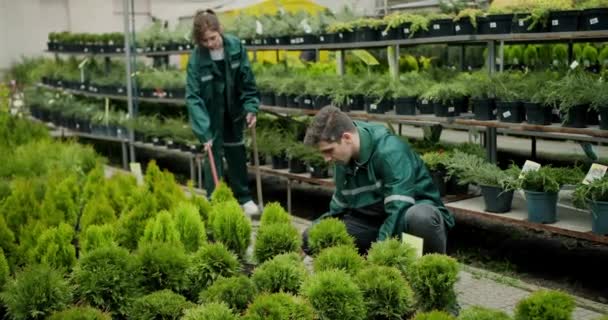 Greenery Guardians Engagierte Arbeiter Einem Blumenladen — Stockvideo