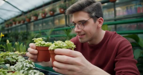 植物学之美 专卖店盆栽花卉的特写 — 图库视频影像