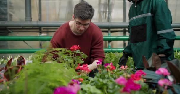 植物学专家协助年轻人选择理想的植物 — 图库视频影像