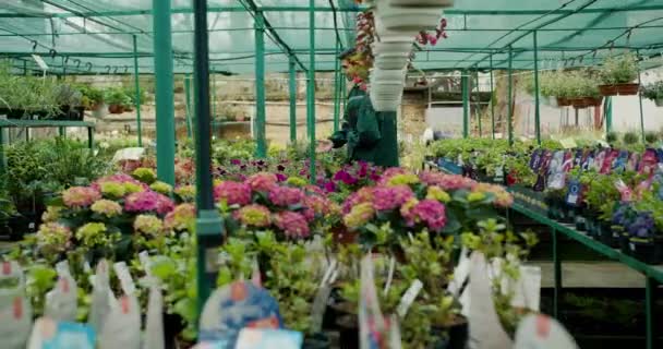 Green Clad Shop Workers Walking Chatting Floral Shelves — Stock Video