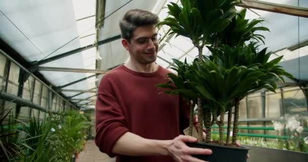 Młody Człowiek Brązowym Swetrze Okularach Dużą Zieloną Bujną Rośliną Wyspecjalizowanym — Wideo stockowe