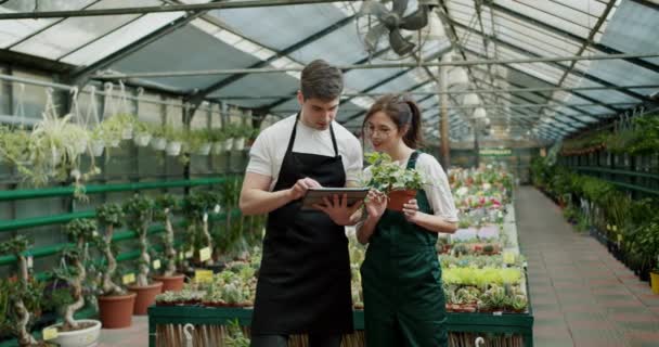 Çiçek Dükkanı Analizi Takım Çalışması Perakende Başarısı Teknolojisi Tam Uzunlukta — Stok video