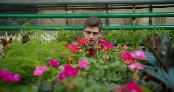 自然の美しさを探る 花への若い男の情熱 若い男が花屋でたくさんの花や緑を調べる — ストック動画