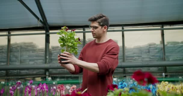 植物专卖店检验花卉的褐色汗衫青年男子 — 图库视频影像