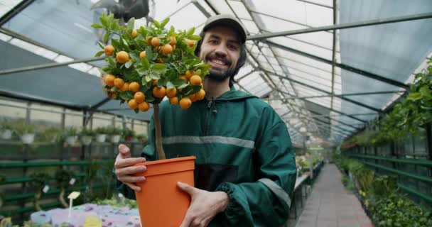 緑の庭 専門の花屋で鍋にミニチュアオレンジの木を保持する若い魅力的な労働者 — ストック動画