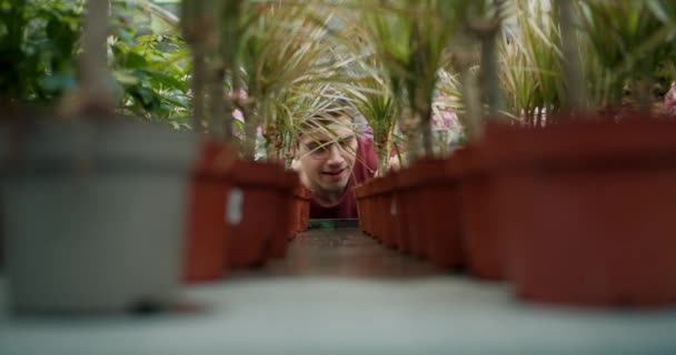 特写镜头 一个身穿棕色毛衣 戴着眼镜的男人在一家专门的花店里种花 — 图库视频影像