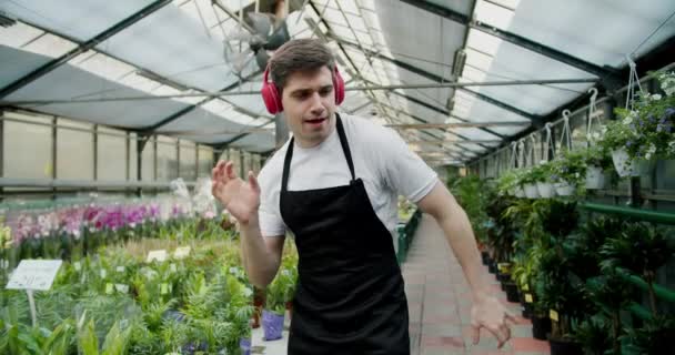 绿色植物中的摸索 花匠对植物和顾客的热爱 — 图库视频影像