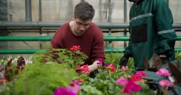 Experto Botánico Ayuda Joven Elección Plantas Perfectas — Vídeo de stock