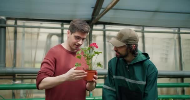 Uzmanla Çiçek Alışverişi Seçim Memnuniyet Yolculuğu — Stok video