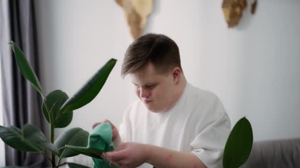 Mann Mit Syndrom Putzt Zimmerpflanzen Mit Pflege Hause — Stockvideo