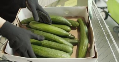 Etkili Süpermarket Çalışanı: Salatalıkları Raflarda Sıralama ve Görüntüleme Yüksek Çözünürlüklü Video.