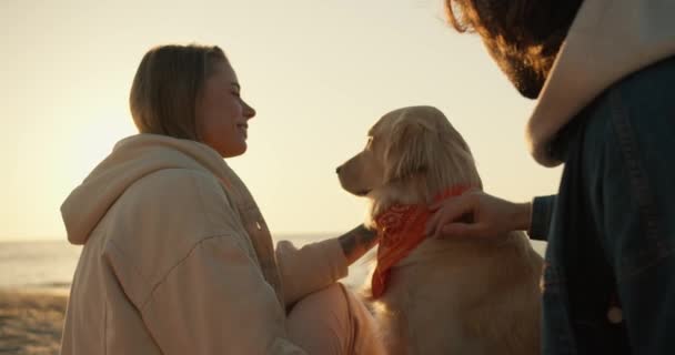 近距离拍摄 一个男人和一个金发碧眼的女孩正在一个阳光灿烂的海滩上抚摸一只浅色的大豆狗 清晨美丽的阳光 — 图库视频影像