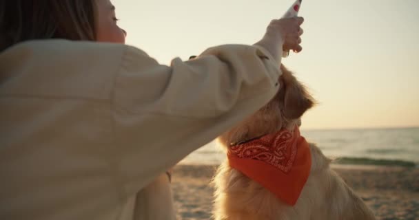 特写镜头 一个金发女郎在阳光灿烂的海滩上给她那只浅色的狗戴上节日帽 — 图库视频影像