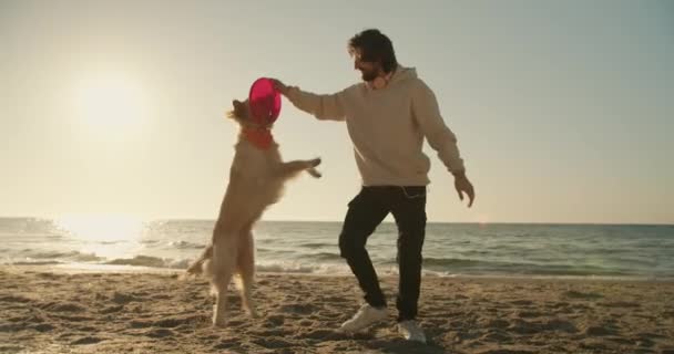 这家伙和他的浅色的狗在阳光明媚的海滩上玩红色玩具 — 图库视频影像
