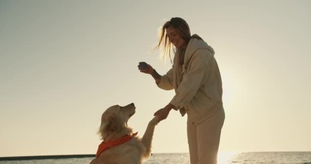 Ein Junges Blondes Mädchen Bringt Ihrem Großen Hund Das Färben — Stockvideo