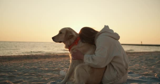 金发姑娘在海滩上摸她的狗 阳光灿烂的早晨 美丽的阳光照射 — 图库视频影像