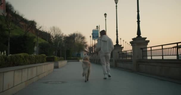 黎明时分一个年轻的金发姑娘在堤岸上遛狗的背影 — 图库视频影像