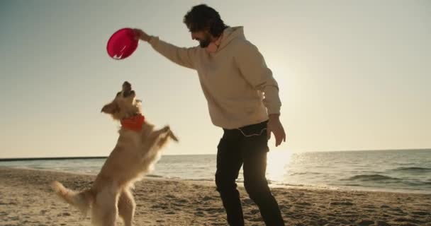 Genç Bir Adam Büyük Açık Renkli Köpeğiyle Birlikte Sabah Kumsalda — Stok video