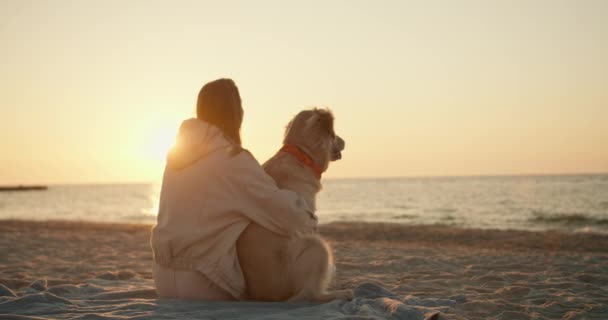 彼女の犬の横に座って 晴れた朝に海の背景に彼女と対話ブロンドの女の子のリアビュー — ストック動画