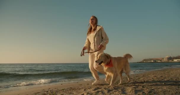Утренняя Пробежка Молодой Блондинки Собакой Раскрашенной Солнечном Пляже Утром — стоковое видео