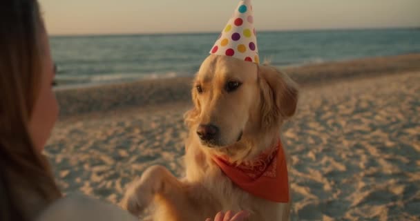 一个金发碧眼的人戴着节日的帽子抚摸着她的浅色的狗 带着狗的女孩 节日的早晨 — 图库视频影像