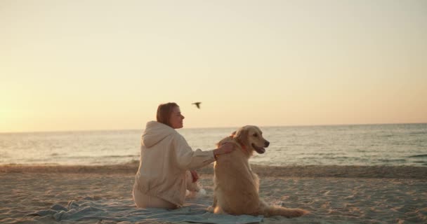 一个金发碧眼的姑娘坐在她的狗旁边 早上在海滩和大海的背景下与她交流 回头看她 — 图库视频影像