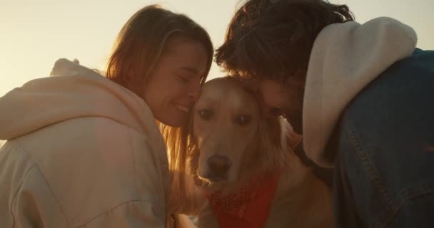 特写镜头 一男一女早上在一个阳光充足的海滩上爱抚他们的狗 与宠物狗散步愉快 — 图库视频影像