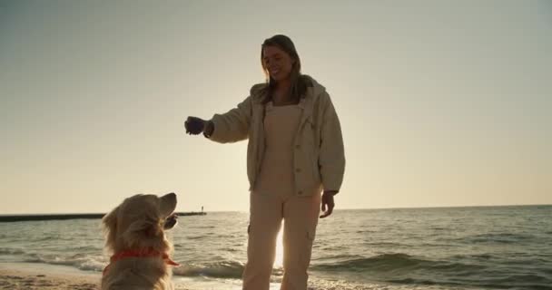 ブロンドの女の子は彼女の大きな犬を訓練します 光の色 新しいコマンドで 晴れたビーチで午前中に彼女と遊ぶ — ストック動画