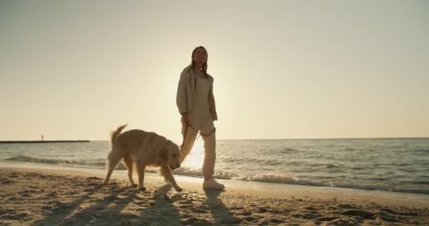 ブロンドの女の子は朝に日当たりの良いビーチで明るい色の大きな犬と一緒に歩いています — ストック動画