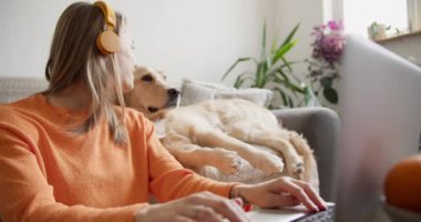 Güzel sarışın bir kız, köpeği dikkatini dağıtırken dizüstü bilgisayarda çalışıyor ama mutlular. Evcil hayvanınla evde çalış..