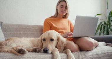 Turuncu kazaklı sarışın bir kız dizüstü bilgisayarda çalışıyor, aynı zamanda açık renkli köpeğini okşuyor, güneşli bir odada kanepede oturuyor..