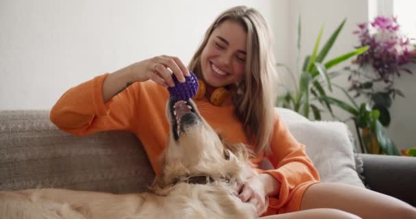 オレンジのセーターを着た幸せなブロンドの女の子が紫のボールでソファの上で彼女の犬と遊んでいます あなたのペットと幸せな時間 — ストック動画