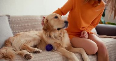 Turuncu kazaklı sarışın bir kız açık renkli köpeğiyle bir devin üzerine oturur, onu okşar ve mor bir topla oynar..