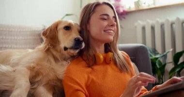 Açık renkli büyük bir köpek, sahibinin dizüstü bilgisayarda nasıl çalıştığını izliyor. Yüksek kalitede çekilen video.