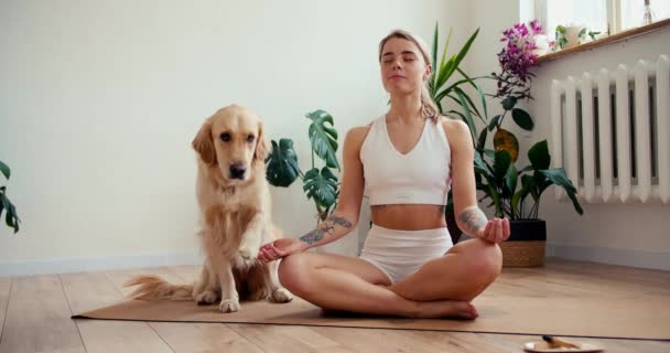 Chica Perro Balcón Soleado Una Chica Dedica Meditación Cerca Mascota — Vídeo de stock