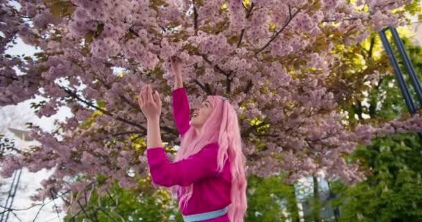 Egy Rózsaszín Ruhás Lány Rózsaszín Hajjal Vizsgálja Üzletet Amely Pompásan — Stock videók