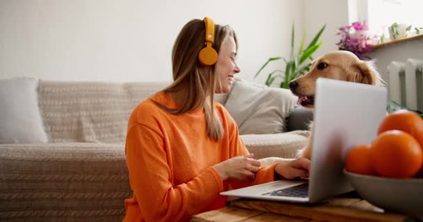 Egy Szőke Lány Narancssárga Pulóverben Sárga Fejhallgatóval Egy Laptopnál Ugyanakkor — Stock videók