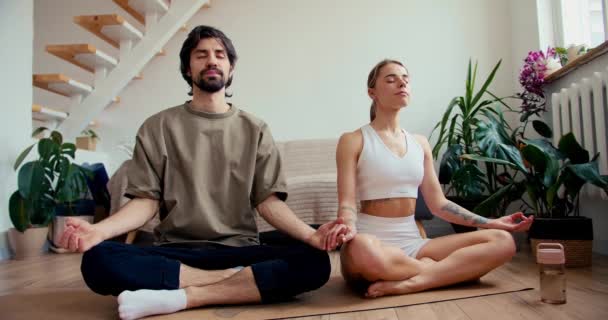 夫婦は瞑想している ヨガクラスのためにAブルネット男とブロンド女の子上の特別なカーペットでA日当たりの良い部屋 — ストック動画
