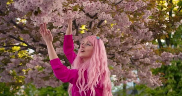 Girl Pink Clothes Pink Hair Examines Cherry Blossom Tree Spring — Stock Video